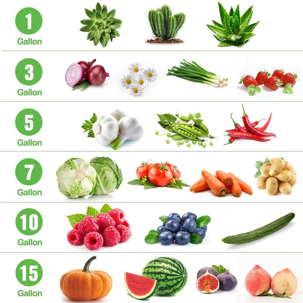 Bolsa Cultivo Maceta Geotextil Elly Decor 5 Pack 15 Gallon