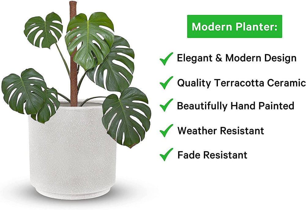 Maceta Cilindro Barro Loza 25.4 cm