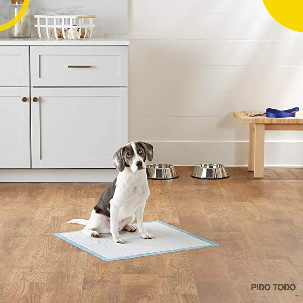 pañal tapete entrenador cachorro 33x45cm set 100pz