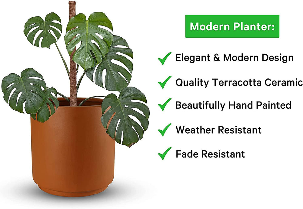 Maceta Cilindro Barro Loza 25.4 cm