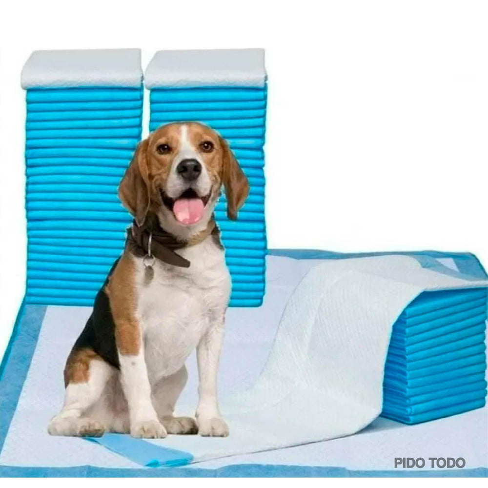 pañal tapete entrenador cachorro 33x45cm set 100pz