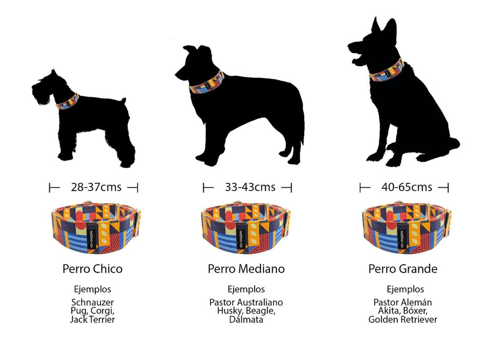 Collar Para Perro Con Diseño Vanguardista Nativo-Co Pixel