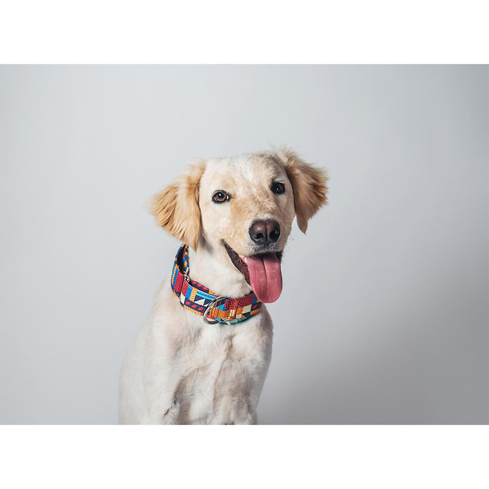 Collar Para Perro Con Diseño Vanguardista Nativo-Co Pixel
