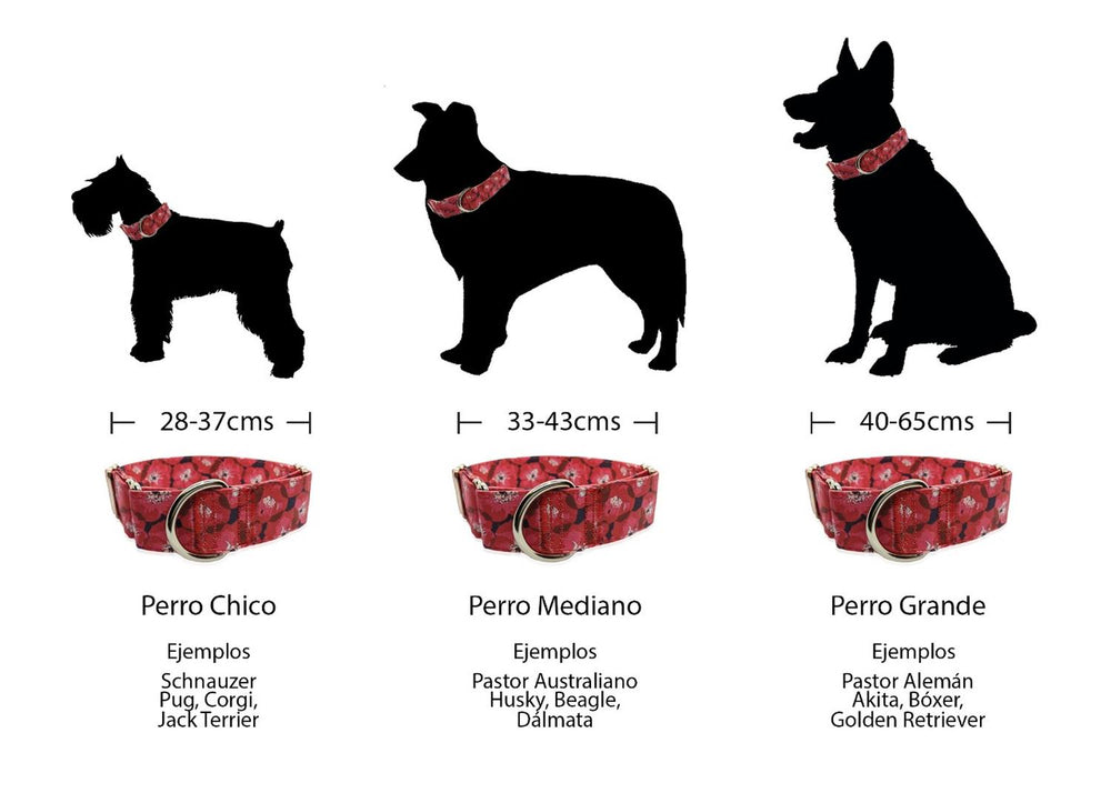 Collar para Perro / Mascota Diseño Único tipo Martingale. Bimba NATIVO-CO
